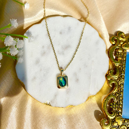 Abalone Shell Stone